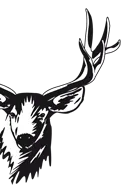 animal head